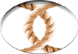 ALL RISTORAZIONE S.N.C. - InfoTel1.com